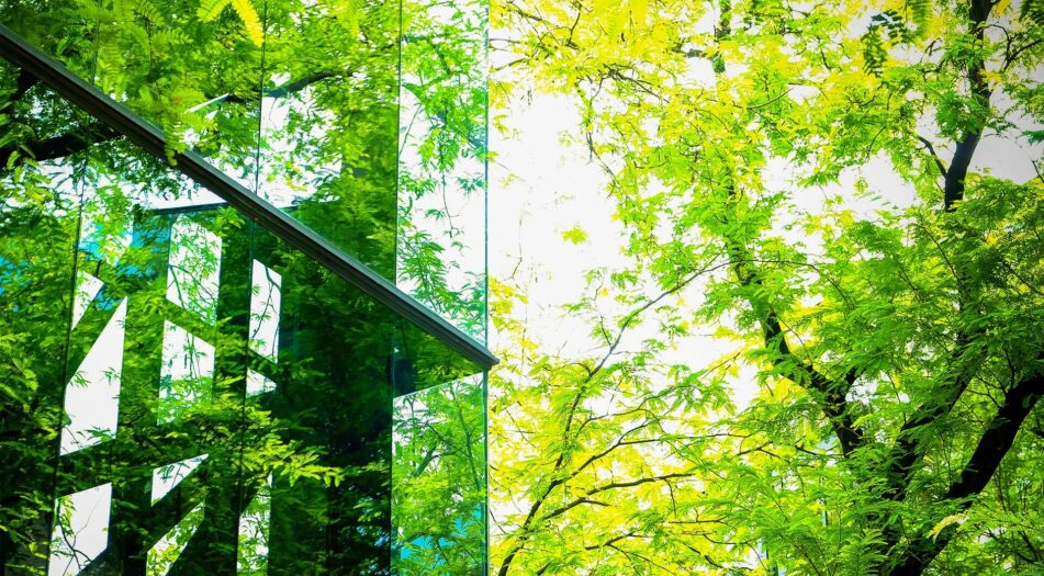 Rich green leaves around a glass building.