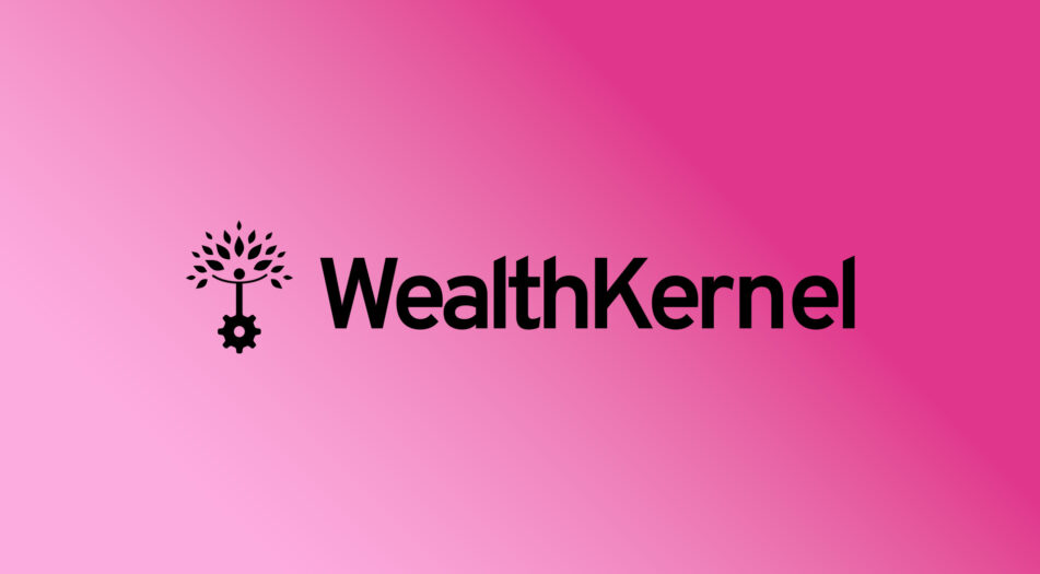Wealthkernel case study